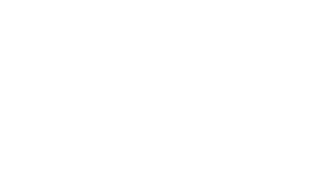 Diaphragm Seal Systems